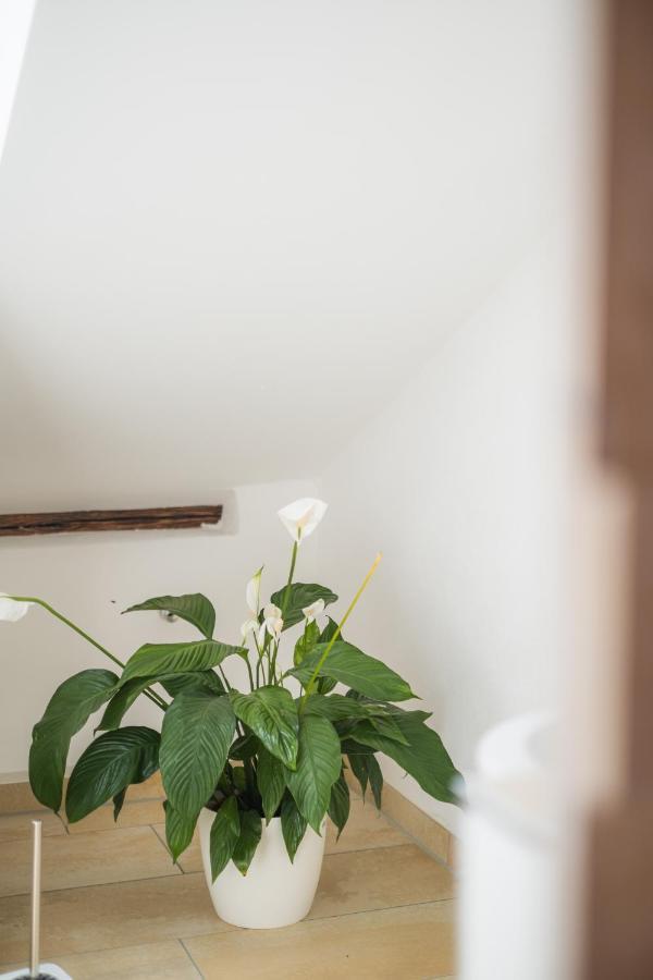 Apartment Ambiente & Comfort Im Historischen Anwesen